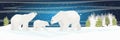 Two adult white polar bear and cub walks through the snow. Mother, father and child. A family. Spruce forest and plains